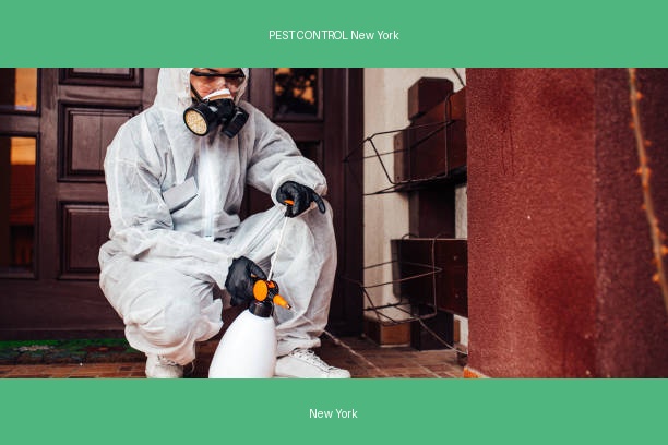PEST CONTROL New York